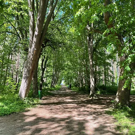 Exklusives Baltic דירה Ostseebad Kühlungsborn